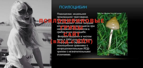 спиды Касимов
