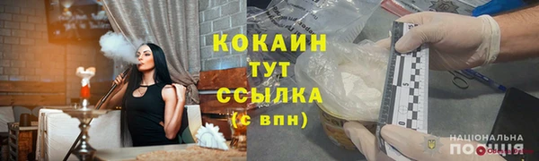 PSILOCYBIN Каменка