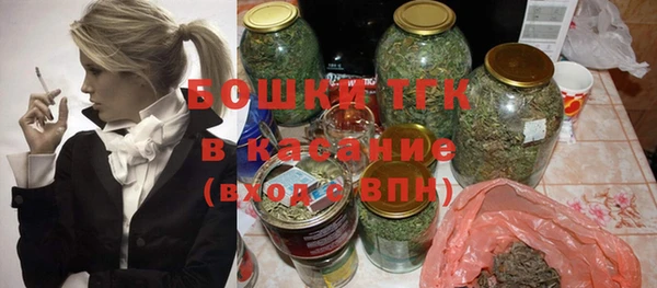 PSILOCYBIN Каменка