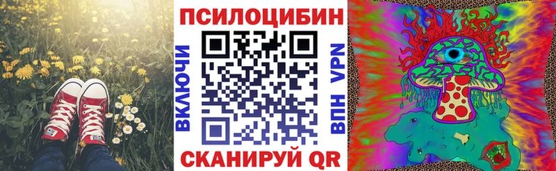 Псилоцибиновые грибы Cubensis  OMG маркетплейс  Артём 